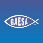 Gaesa S.A.